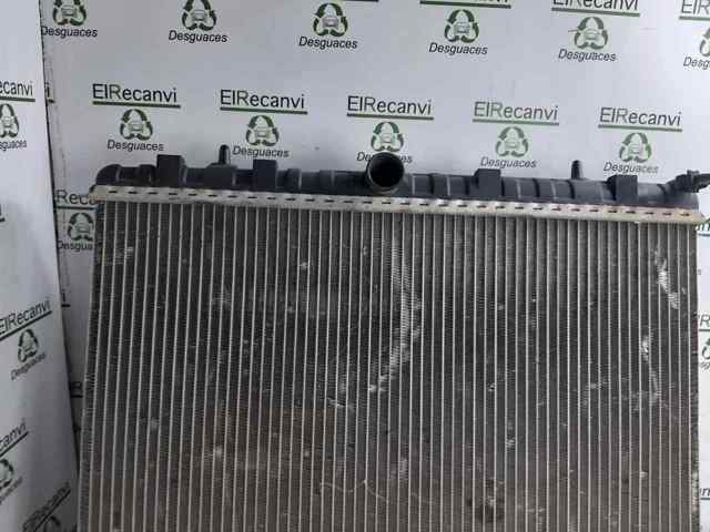 1498986080 Peugeot/Citroen