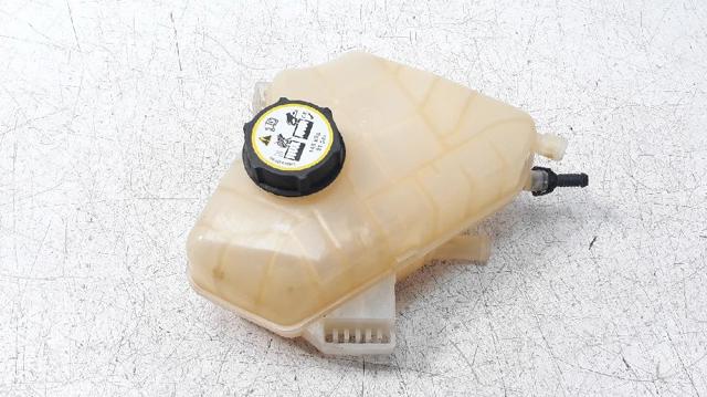 Zbiorniczek wyrównawczy układu chłodzenia 1513111 FORD