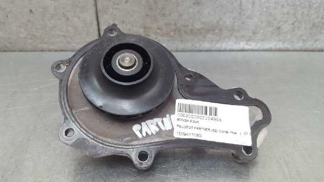 1609417080 Peugeot/Citroen