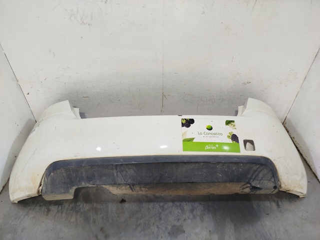 1610766980 Peugeot/Citroen