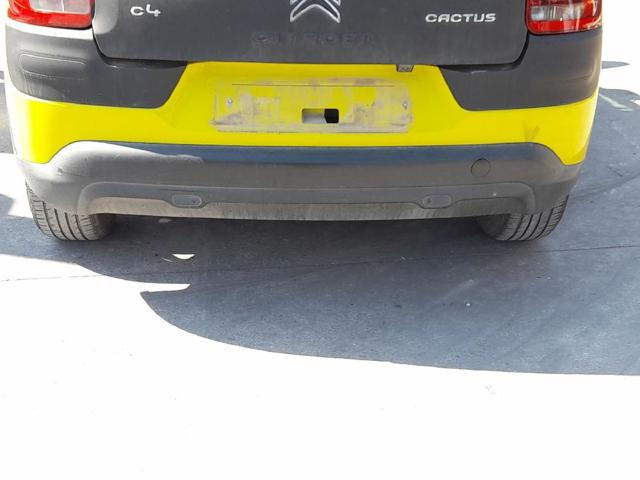 1611428480 Peugeot/Citroen