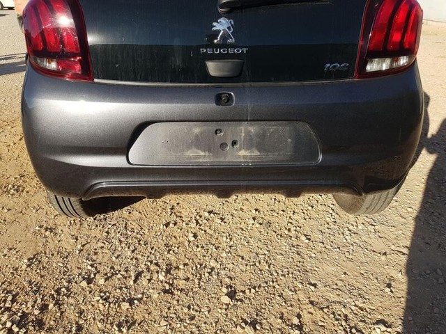 1612229480 Peugeot/Citroen