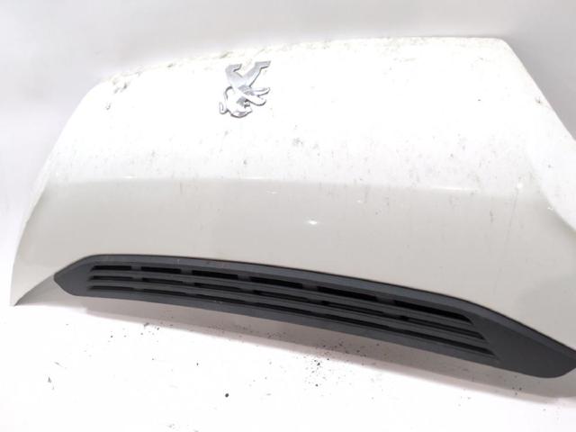 1612246980 Peugeot/Citroen