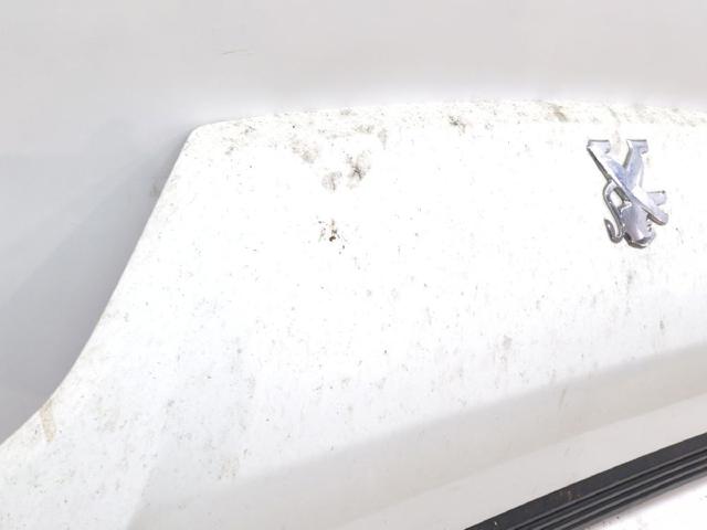 1612246980 Peugeot/Citroen