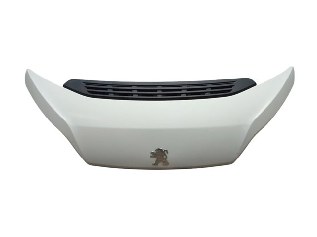 1612246980 Peugeot/Citroen