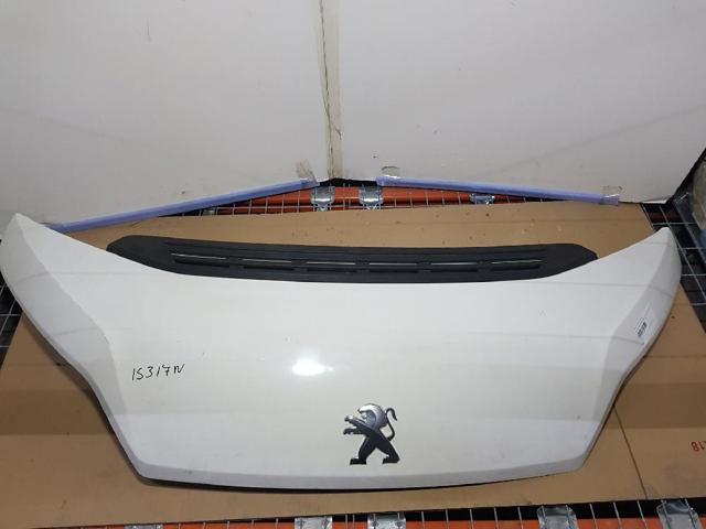 1612246980 Peugeot/Citroen