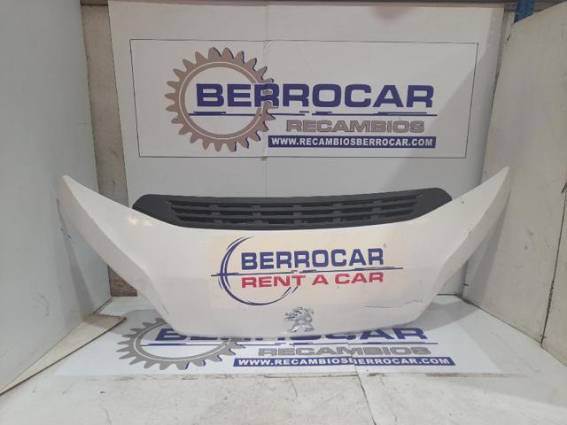 1612246980 Peugeot/Citroen