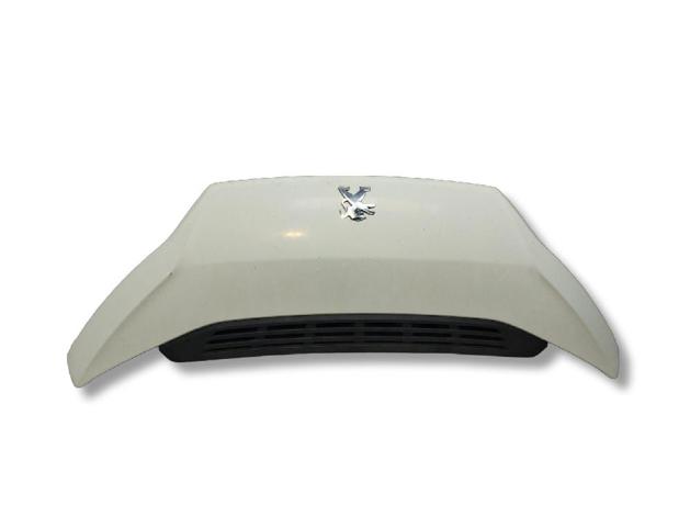 1612246980 Peugeot/Citroen