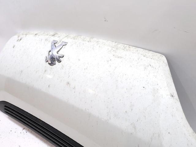 1612246980 Peugeot/Citroen