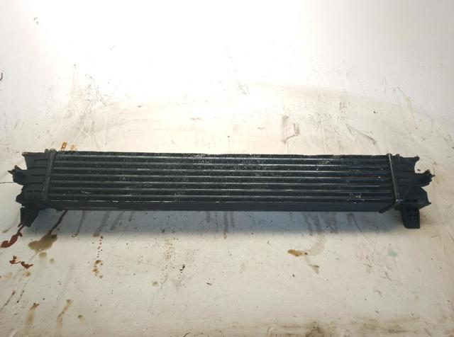 1613994080 Peugeot/Citroen