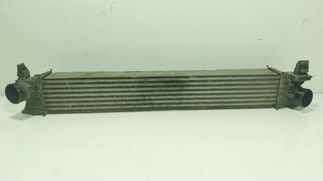 1613994080 Peugeot/Citroen