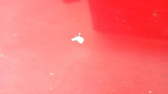 Drzwi przednie lewe Ford Fusion JU