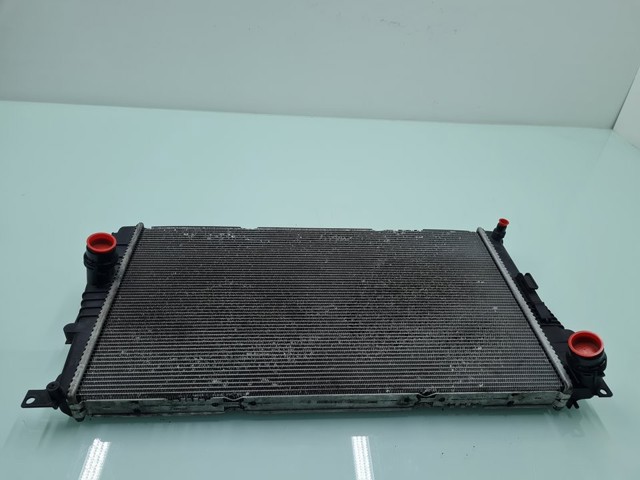 17117600523 BMW