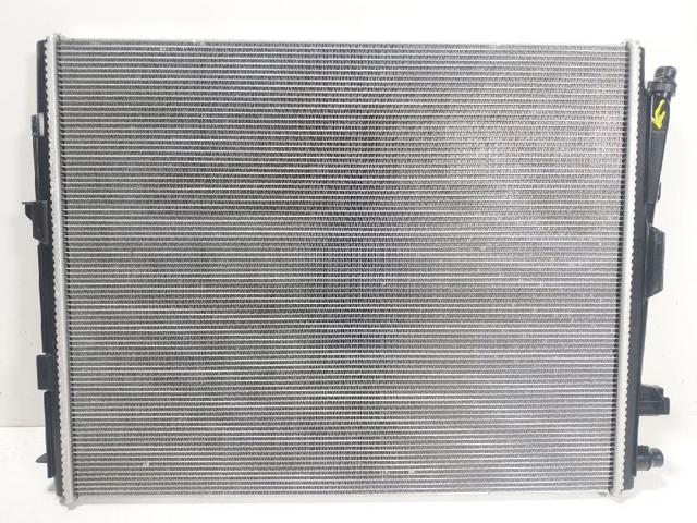 17118666811 BMW