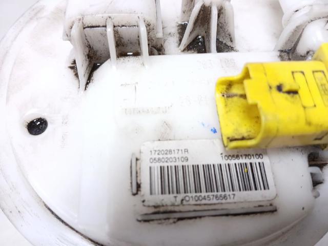 172028171R Renault (RVI)