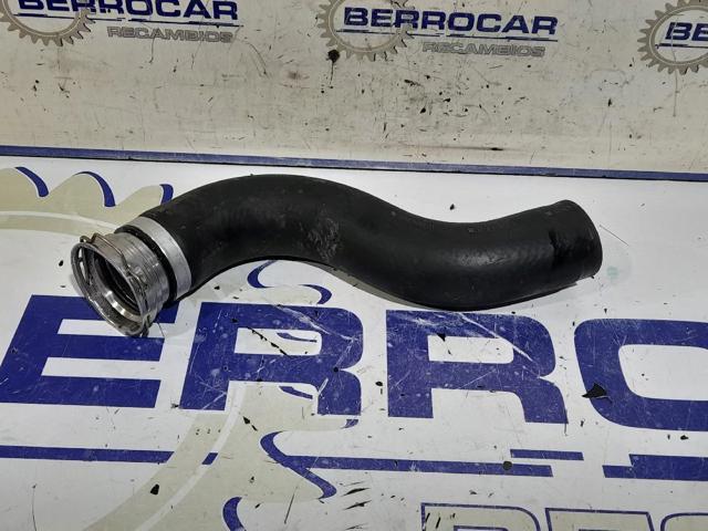 1734226072 Toyota