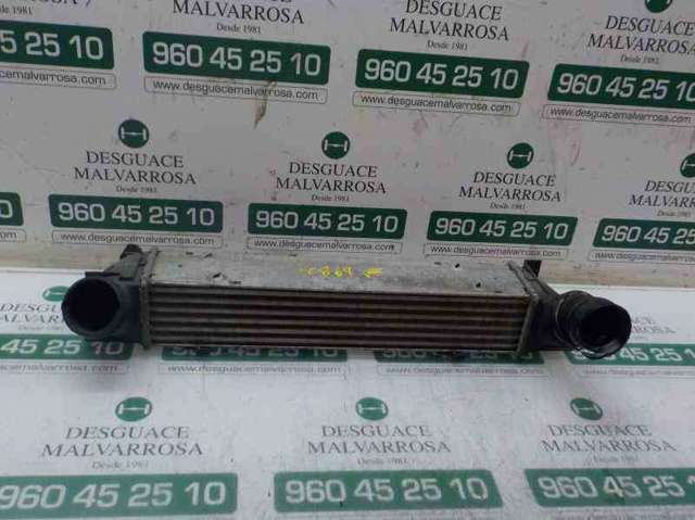 17517524916 BMW