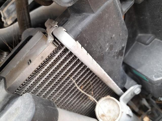 Chłodnica silnika Suzuki Vitara LY