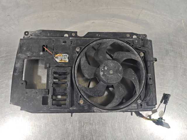 1831237016 Peugeot/Citroen