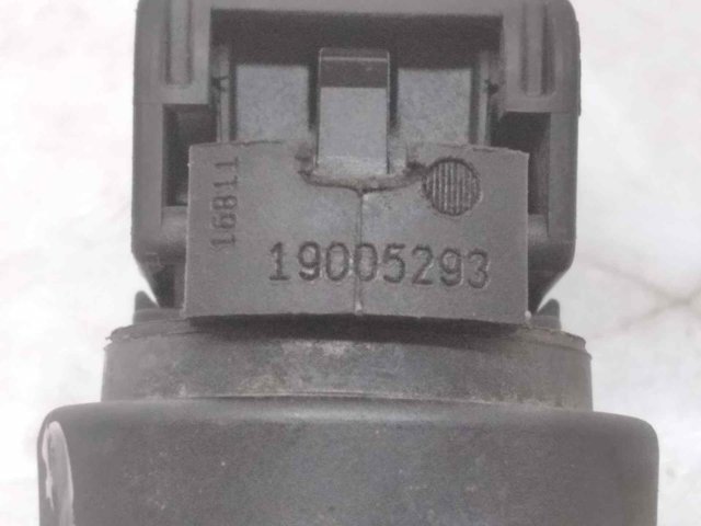 19005293 Peugeot/Citroen