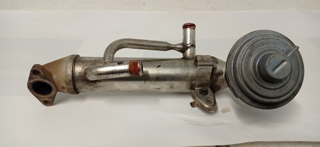 Chłodnica układu recyrkulacji spalin EGR  1C1Q9F464AE FORD