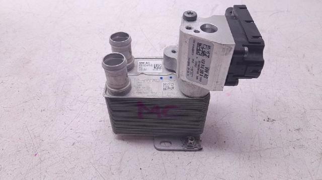 1EA816111B VAG