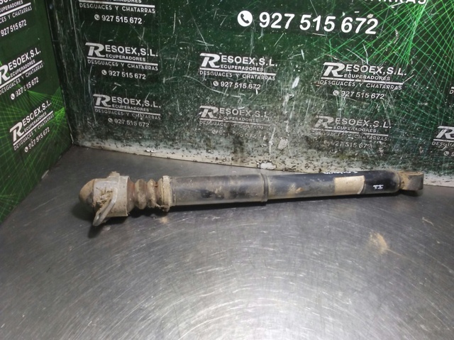 Amortyzator tylny 1K0513029EN VAG