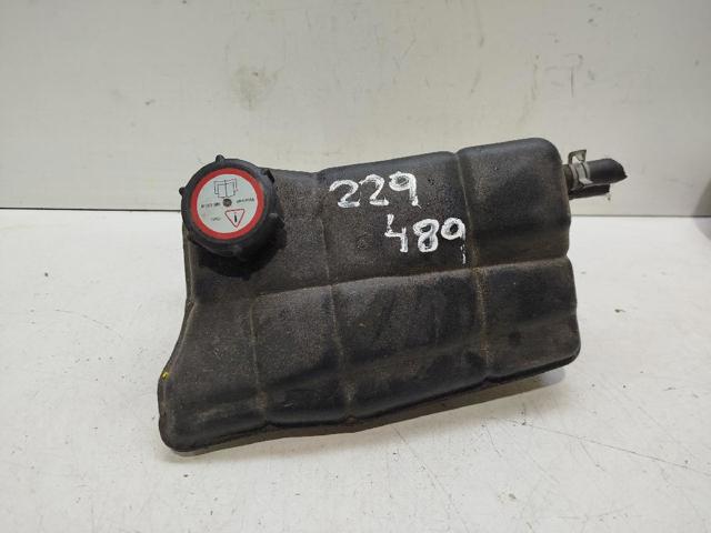 Zbiorniczek wyrównawczy układu chłodzenia 1S718K218AB FORD