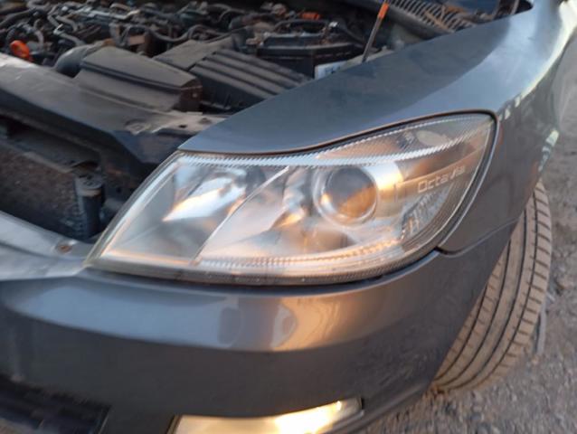 1Z1941017S VAG
