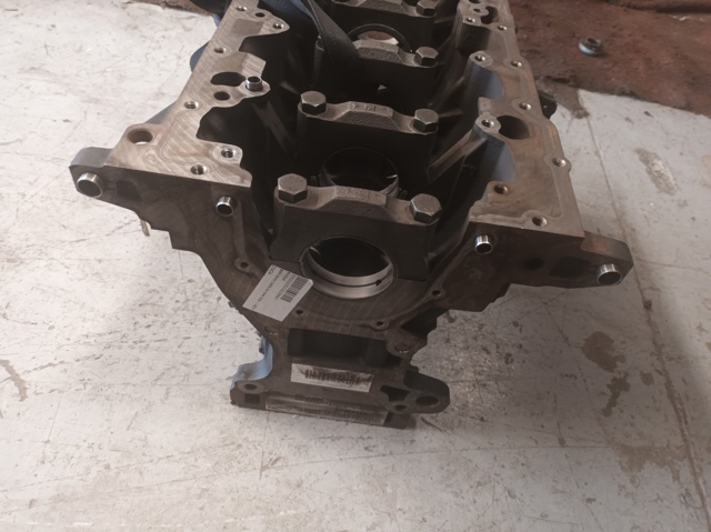 Silnik w komplecie 204D4 BMW