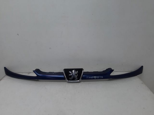 205287 Peugeot/Citroen