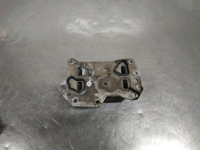213058627R Renault (RVI)