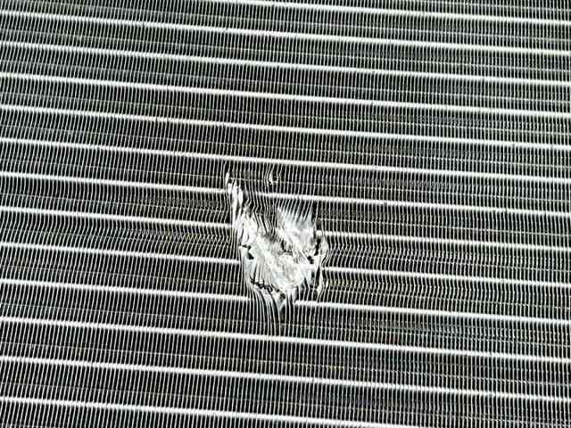 214100014R Renault (RVI)