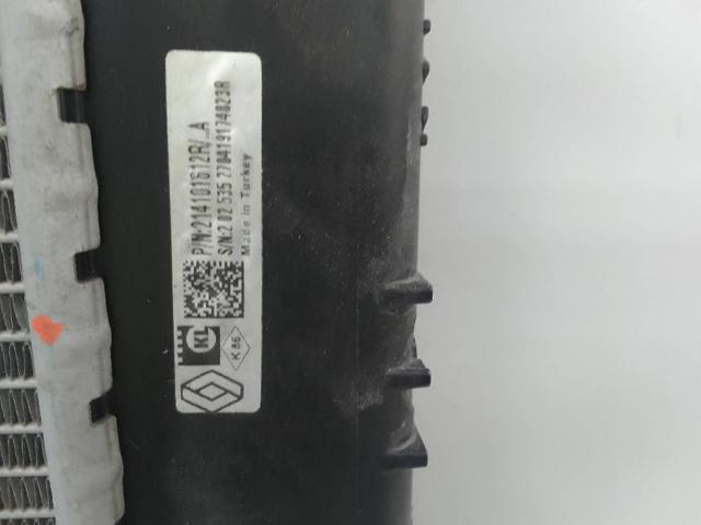 214101612R Renault (RVI)