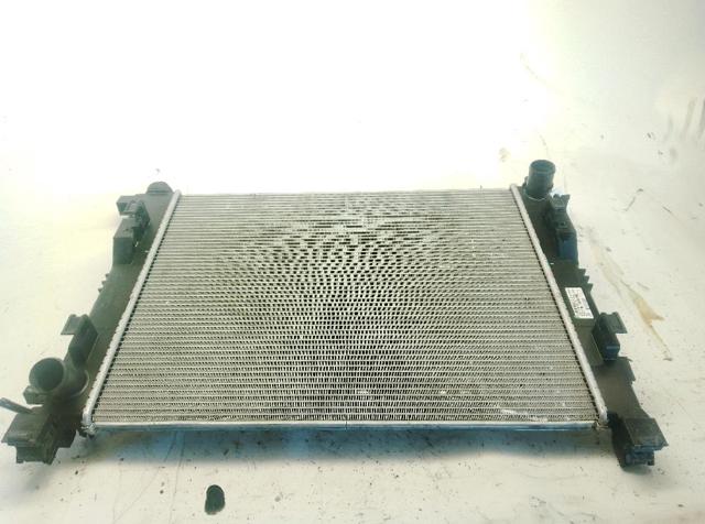 214101612R Renault (RVI)