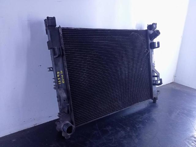 214101612R Renault (RVI)