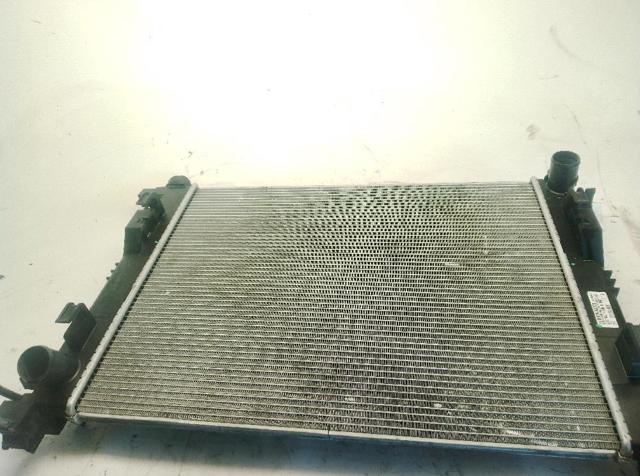 214101612R Renault (RVI)