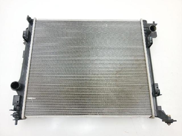 214101809R Renault (RVI)
