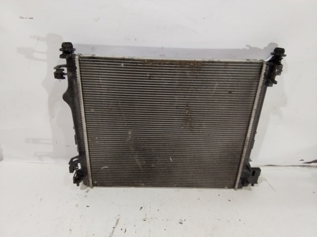 214101809R Renault (RVI)