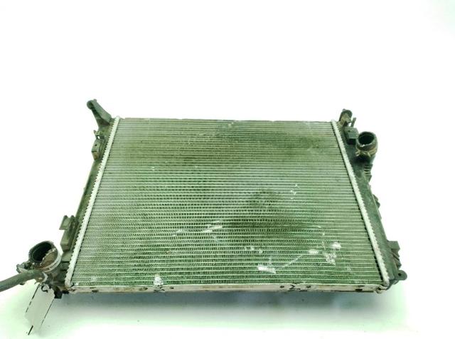 214105169R Renault (RVI)