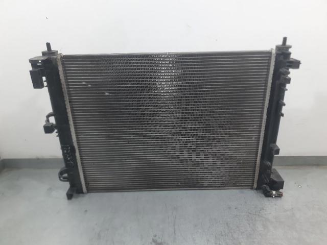 214105FA0A Nissan/Infiniti
