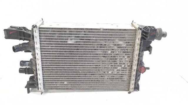 214106421R Renault (RVI)