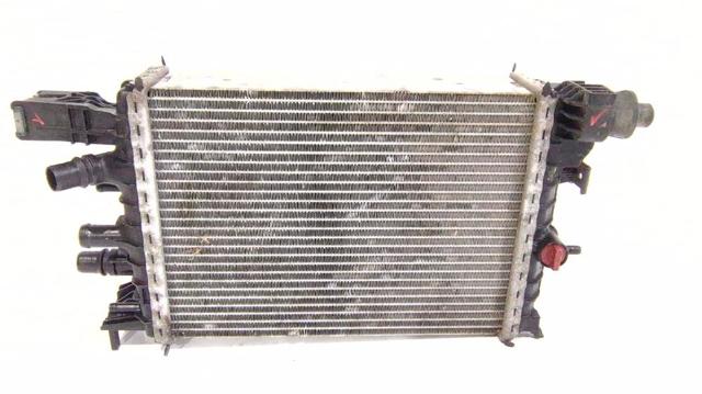 214106421R Renault (RVI)