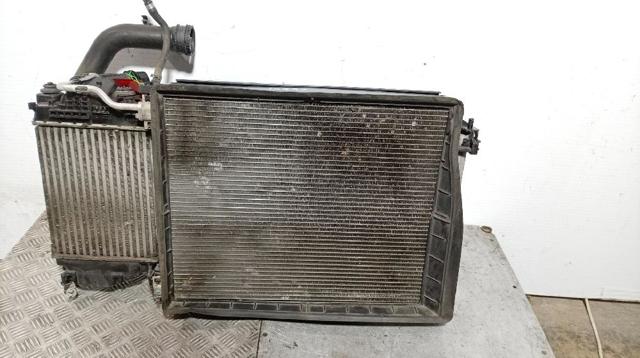 214108607R Renault (RVI)
