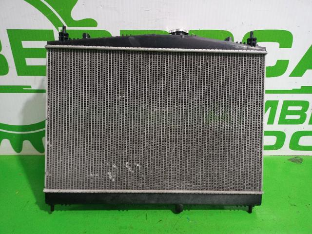 21410BA60A Nissan/Infiniti