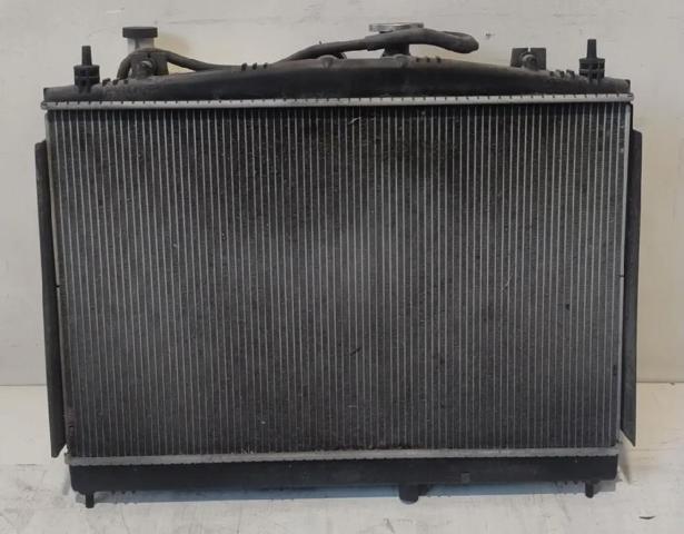 21410BA60A Nissan/Infiniti