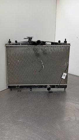 21410BA60A Nissan/Infiniti