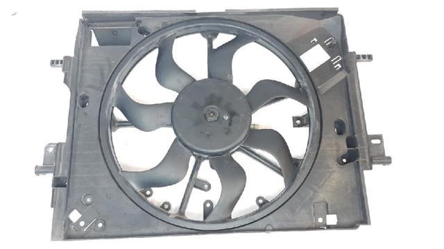 214810411R Renault (RVI)