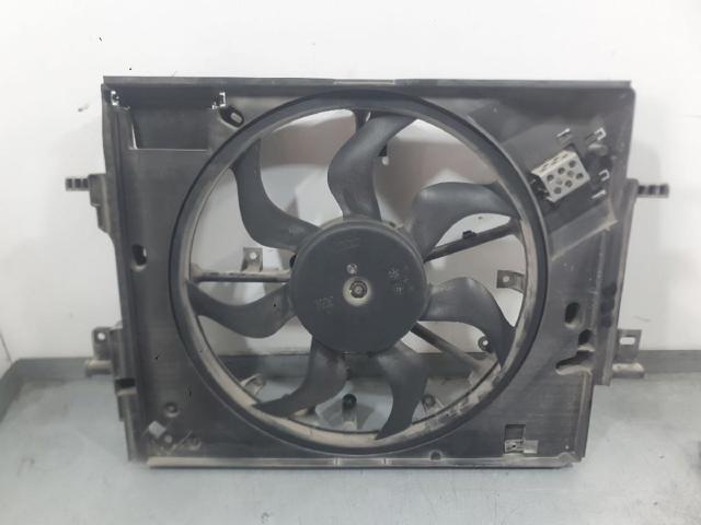 214810411R Renault (RVI)