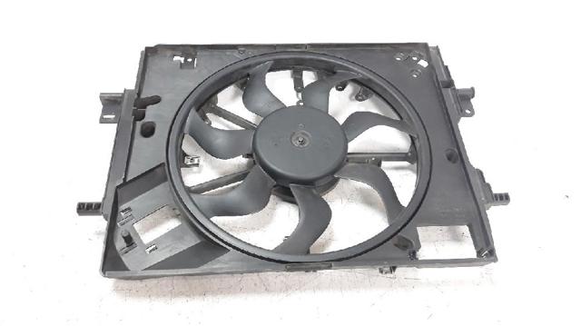 214810411R Renault (RVI)